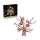 LEGO BOTANICALS 11510 Gałązki magnolii - 1489546 - zdjęcie 2